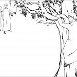 Zacchaeus a Chief Tax Collector...