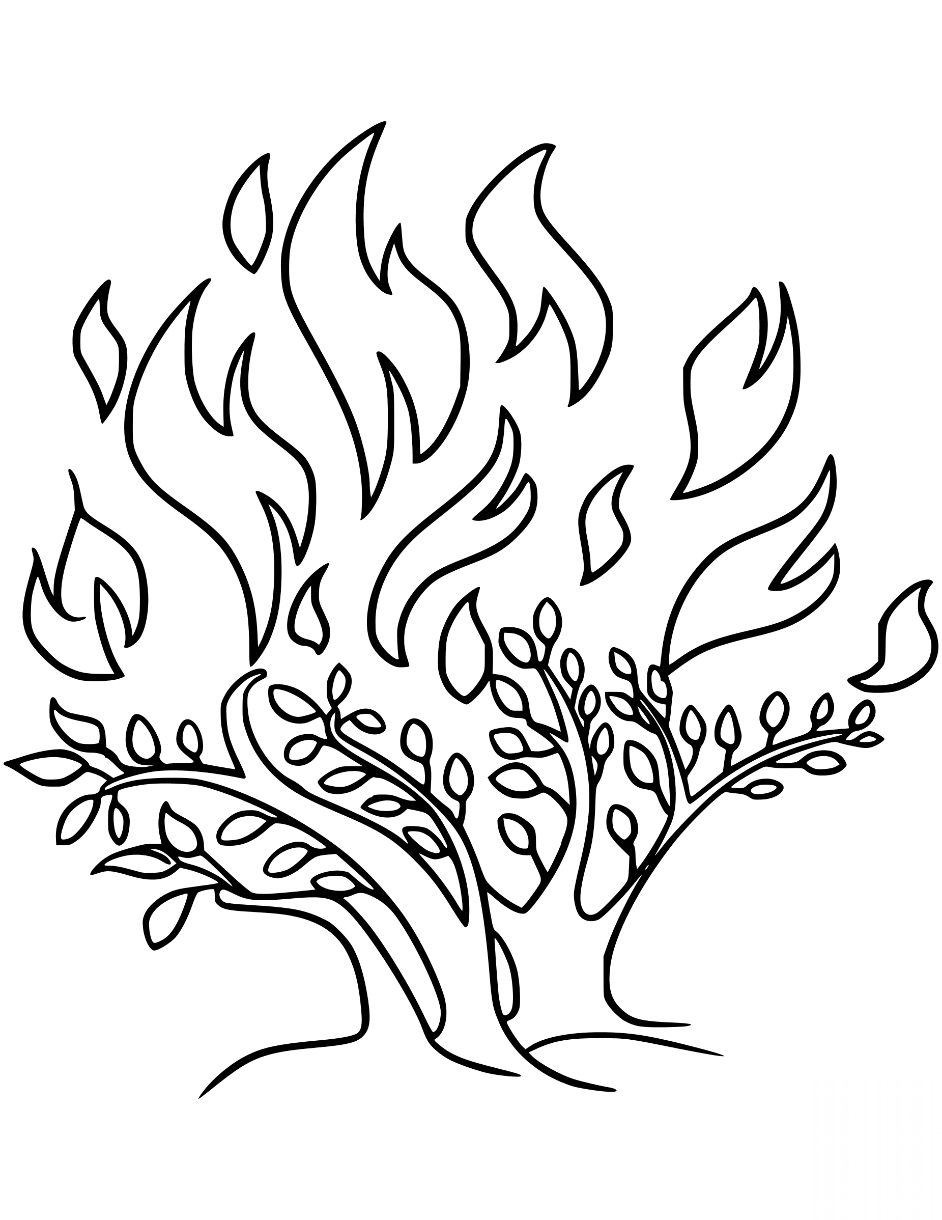 The Burning Bush