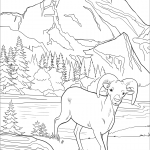 Park Narodowy Glacier