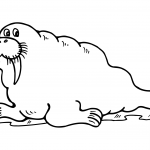 Cartoon Walrus