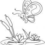 Cute Butterfly Flies over Reeds and...