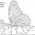Rice Paper Butterfly