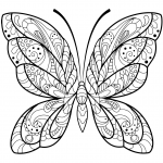 Detailed Butterfly Zentangle