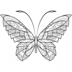 Abstract Butterfly Zentangle