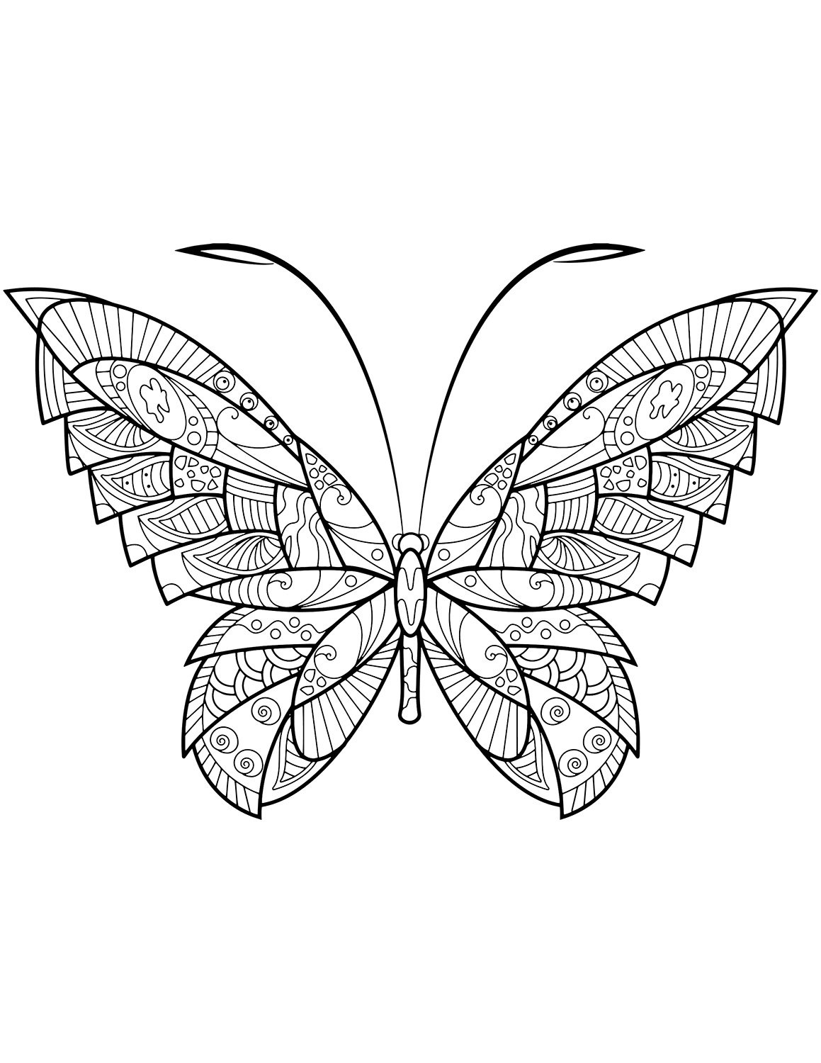 Abstract Butterfly Zentangle