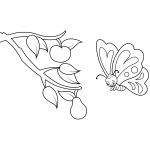 Cute Butterfly and Branch with Fruits