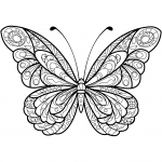 Zentangle Butterfly