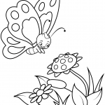 Cute Butterfly and a Sunflower