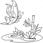 Cute Butterfly Flies over the Swamp