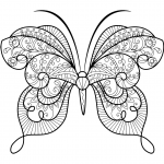 Advanced Butterfly Zentangle