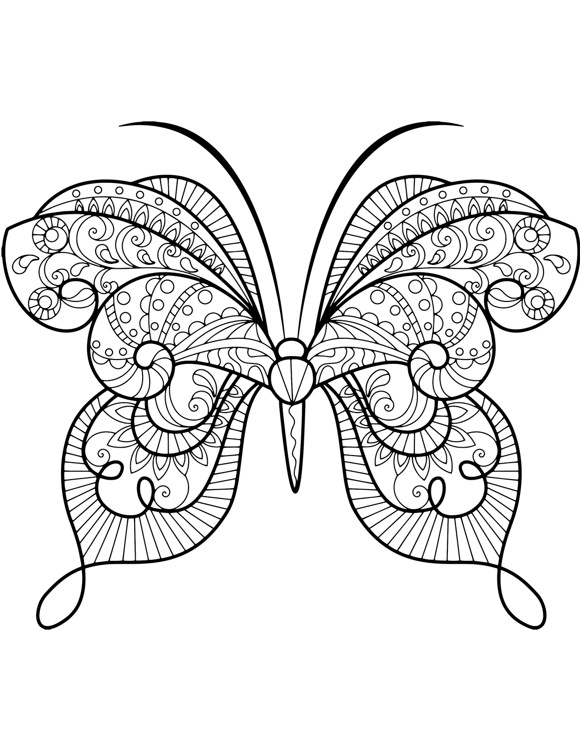Advanced Butterfly Zentangle