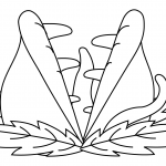 Carnivorous Plant Venus Flytrap