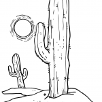 Słońce nad pustynnymi kaktusami