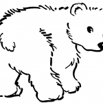 Uroczy malutki niedźwiedź brunatny