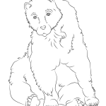 Siedzący niedźwiedź brunatny