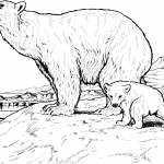 Niedźwiedź polarny - mama z dzieckiem