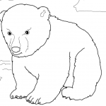 Uroczy niedźwiadek polarny