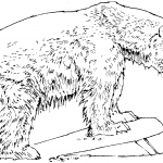 Niedźwiedź polarny stojący na kamieniu