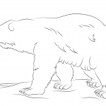 Spacer misia polarnego