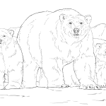 Niedźwiedź polarny z dwoma młodymi