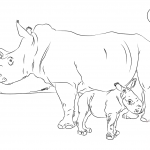 Śliczny mały nosorożec z mamą