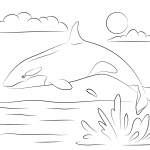 Uroczy miecznik wyskakujący z wody