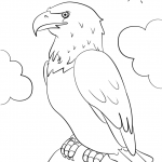 Cartoon Bald Eagle
