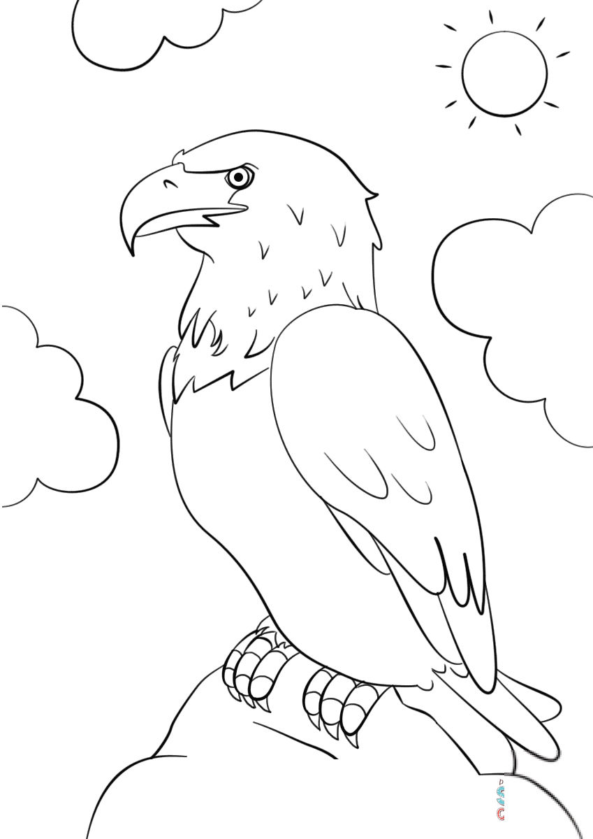 Cartoon Bald Eagle