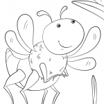 Cartoon Insect