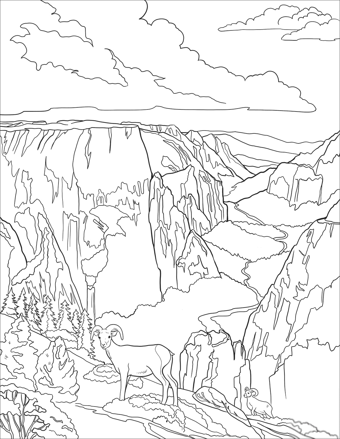 Desert Bighorn Sheeps in Zion