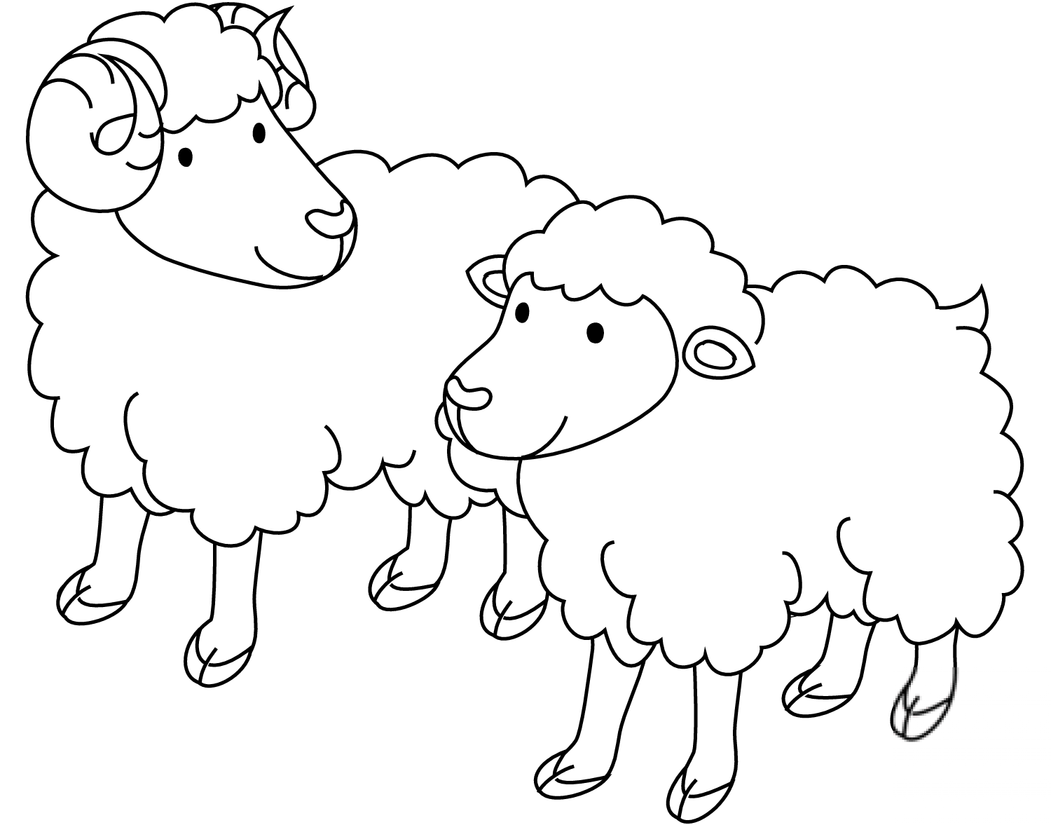 Sheep Ram and Ewe