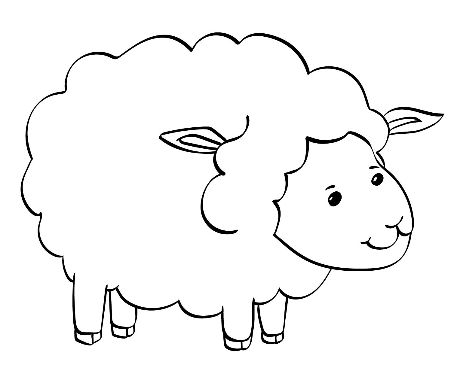 Cute Sheep