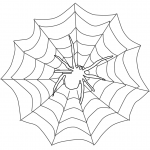 Pająk na pajęczynie