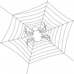 Spider Making Its Web