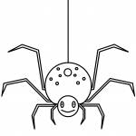 Pająk na nici przędnej