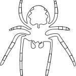 Pająk przędzący sieć