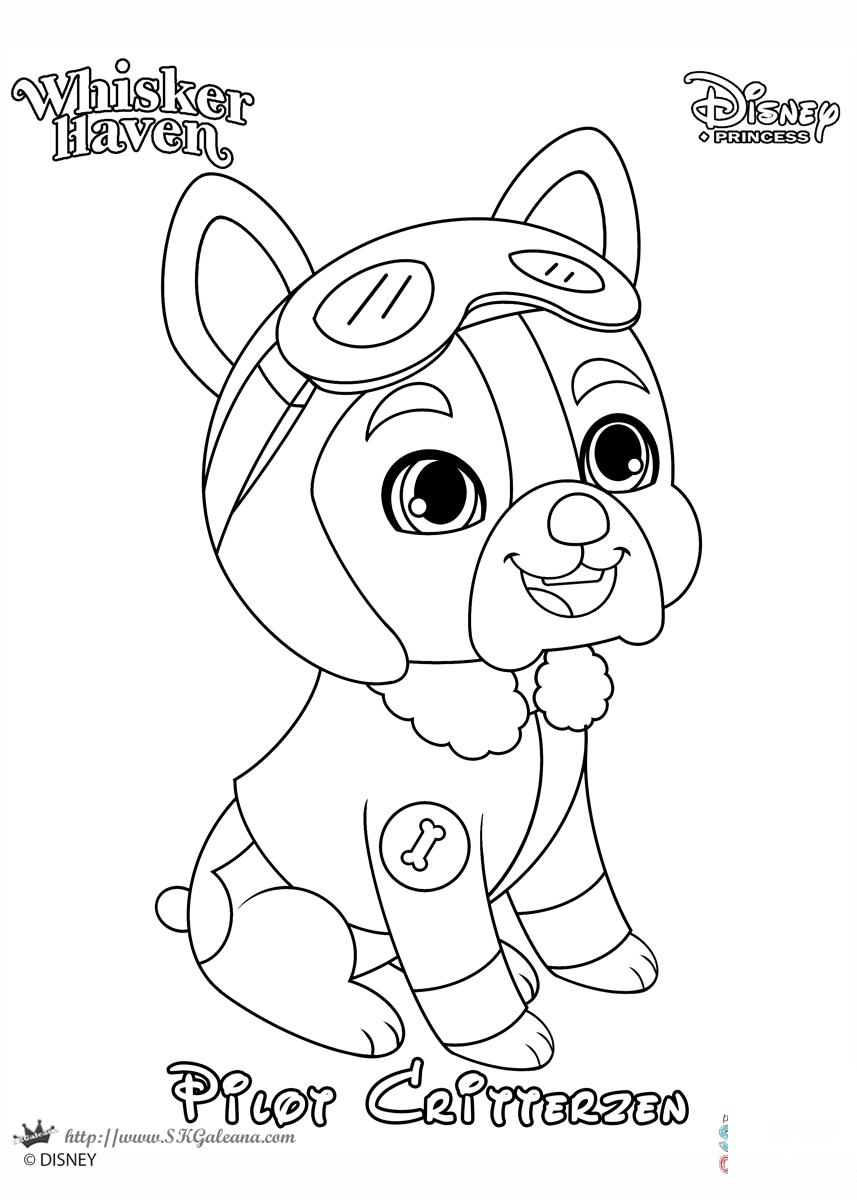 Whisker Haven Pilot Critterzen