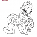 Palace Pets Seashell