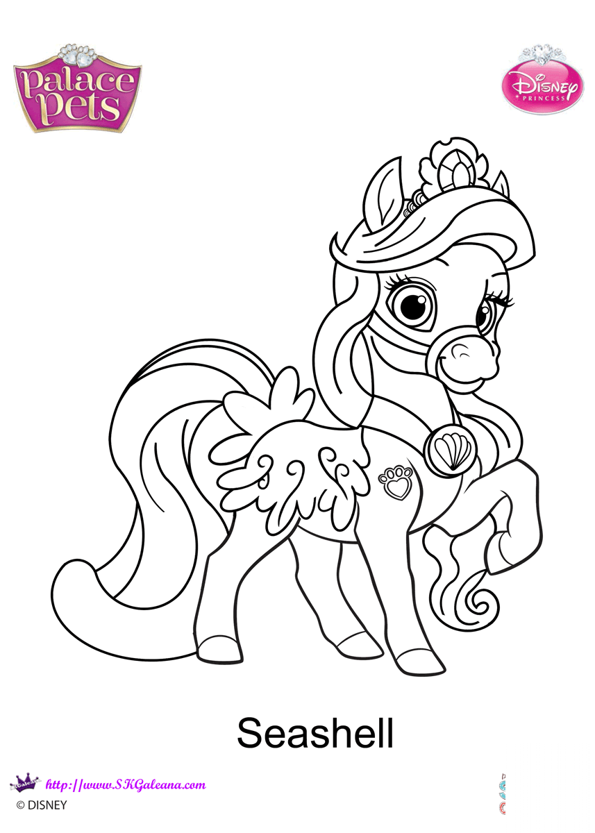 Palace Pets Seashell