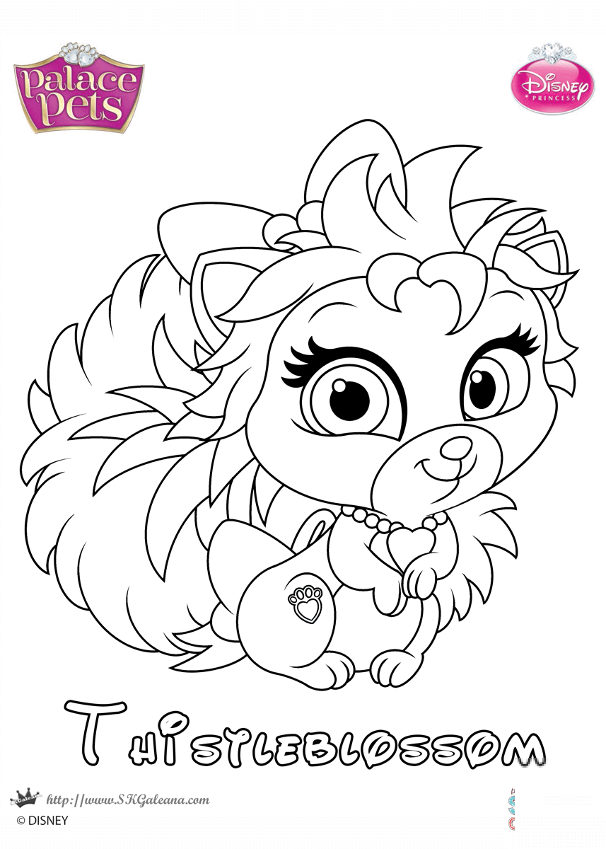 Thistleblossom Princess