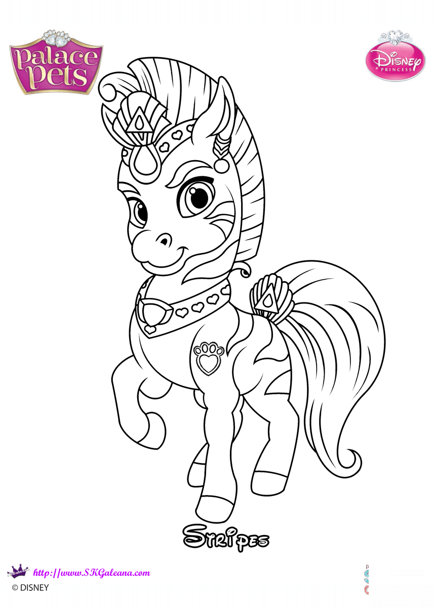 Stripes the Zebra Princesss