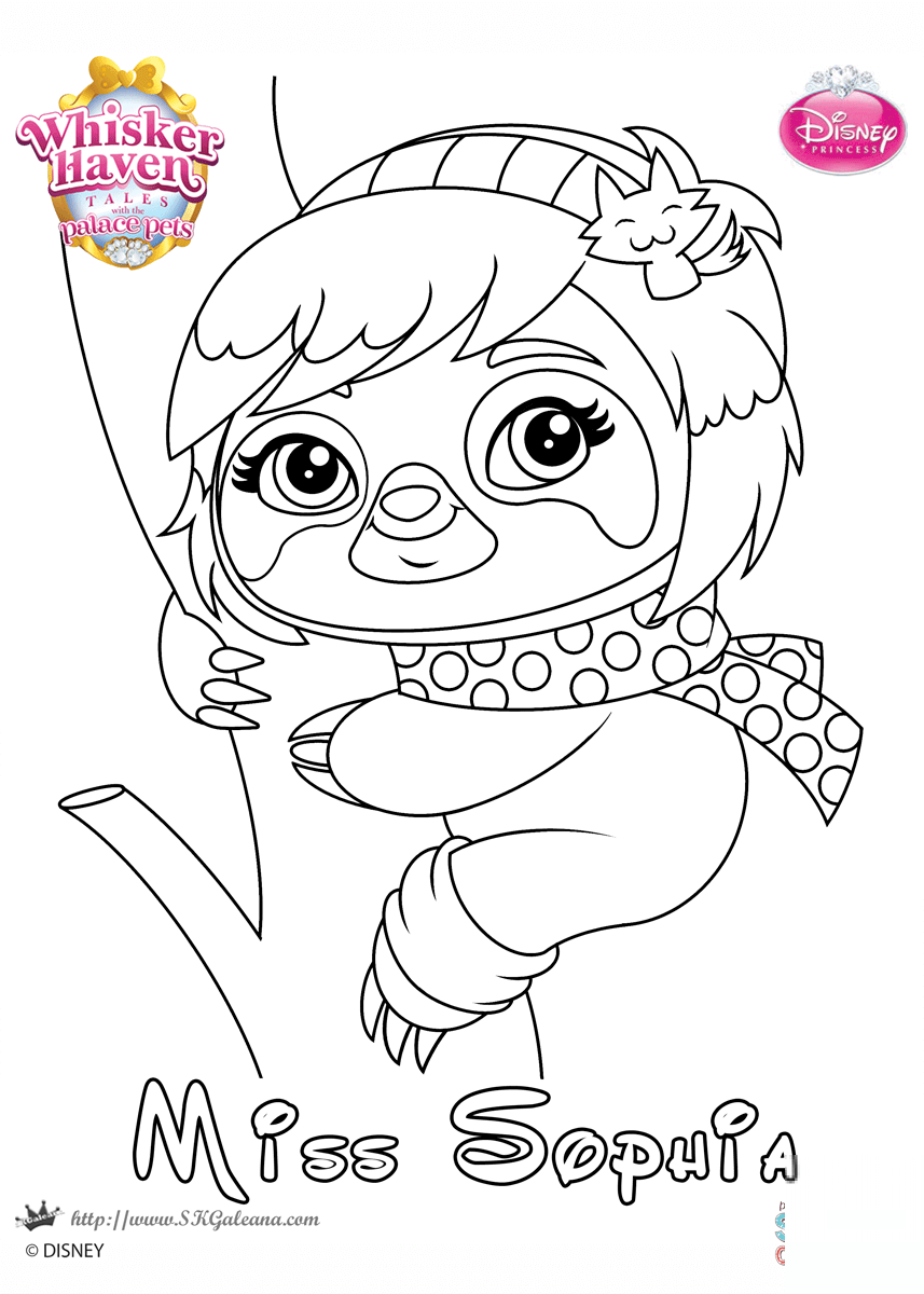 Whisker Haven Miss Sophia