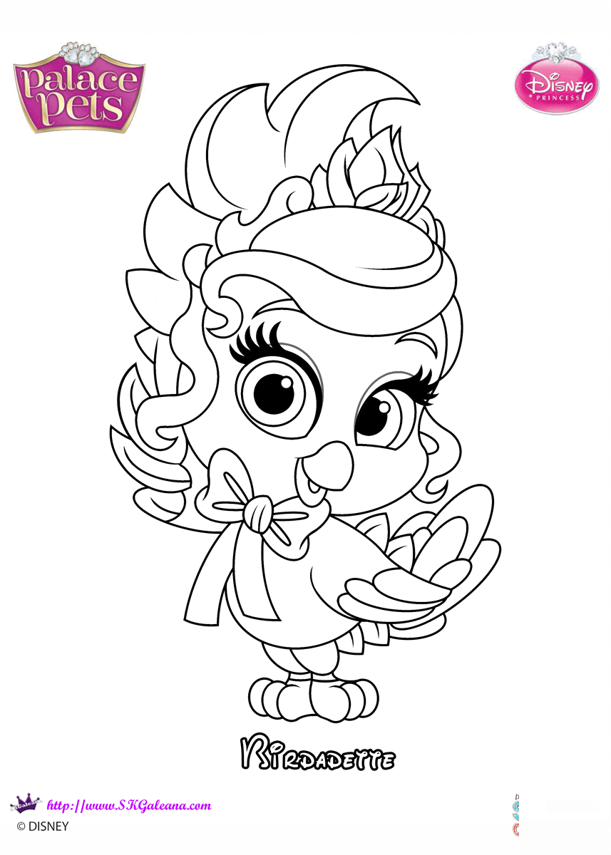 Palace Pets Birdadette