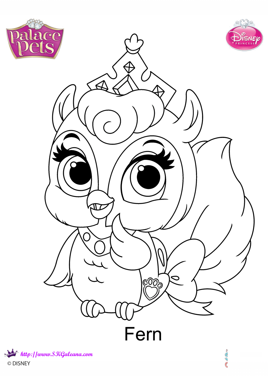 Palace Pets Fern