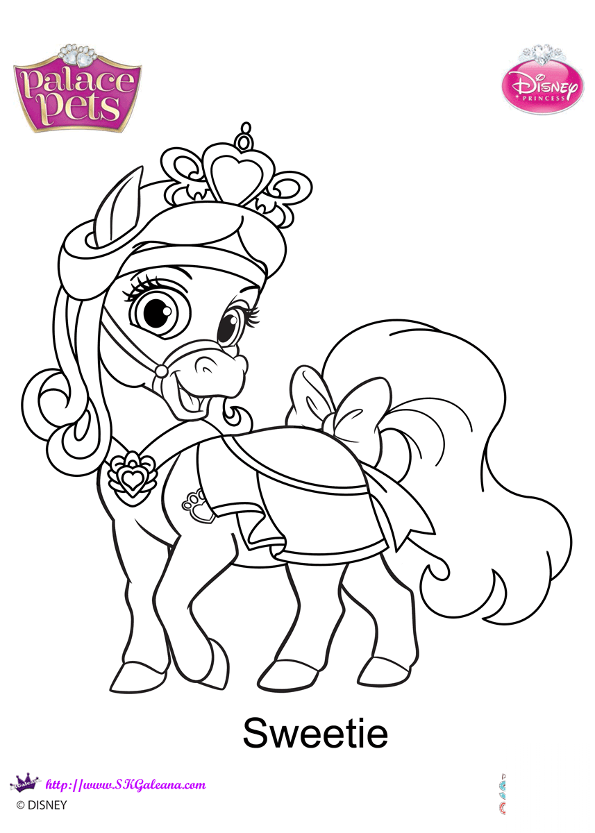 Palace Pets Sweetie
