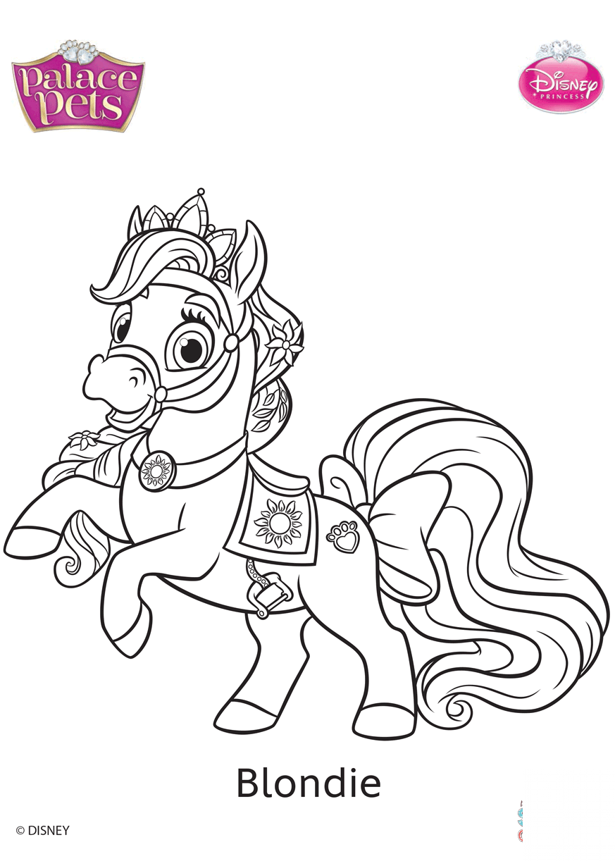 Palace Pets Blondie