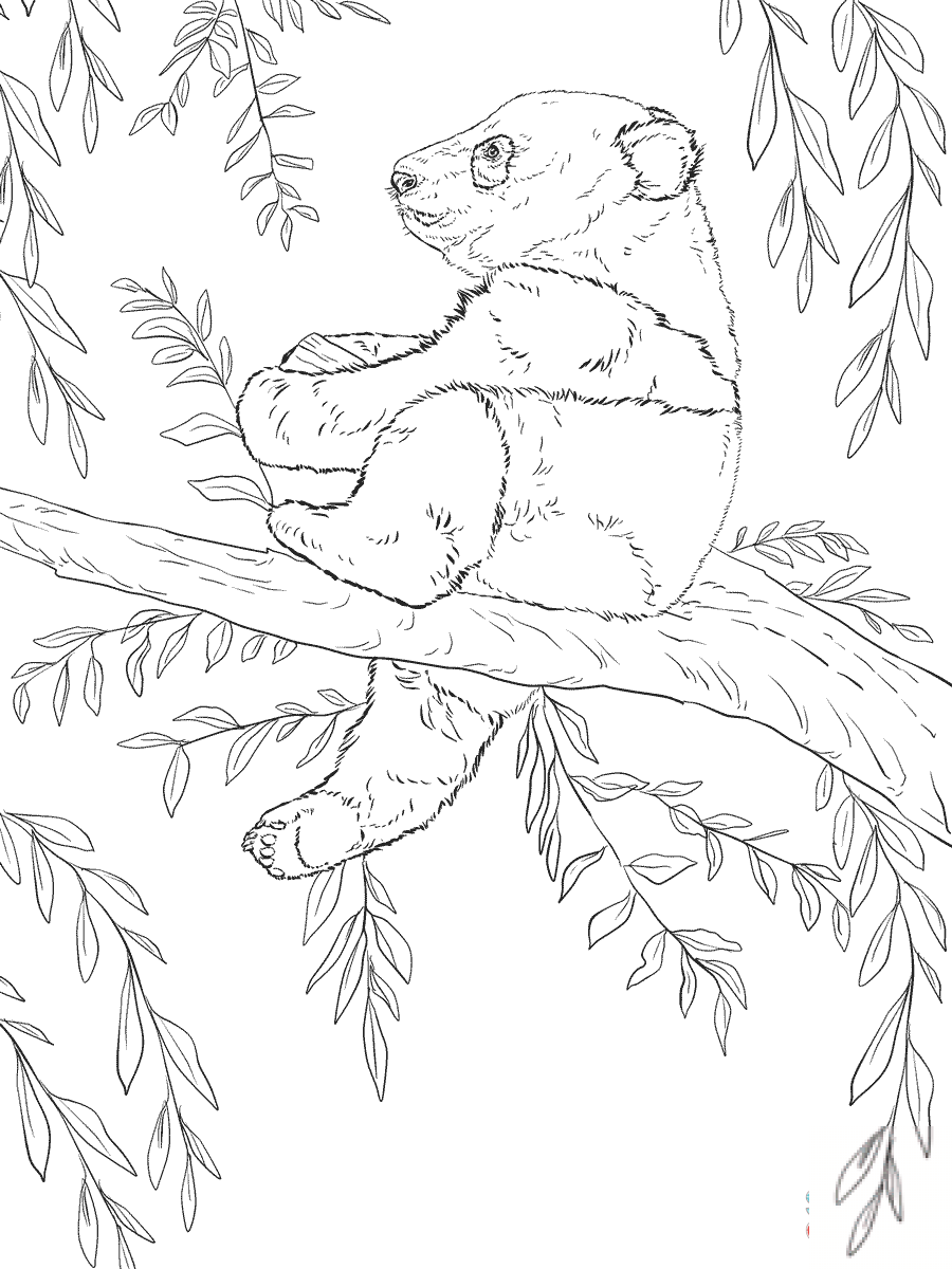 Malutka panda siedząca na drzewie