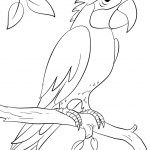 Parrot Perching on Branch