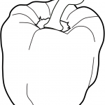 Sweet Pepper