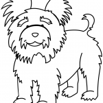 Funny Yorkshire Terrier